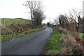 Road to Pinbraid Fishery near Carleton Castle