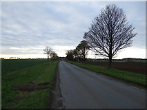 SE9314 : Risby Road  by JThomas