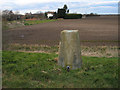 SK7296 : Trig point of Idle Stop by Trevor Littlewood
