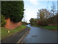 The lane to Strensham, leaving Twyning