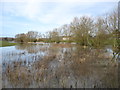 Flooding near Bourne Farm