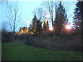 Floodlights over Long Ditton Cemetery