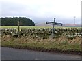 Drunken signpost and stone stile