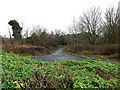 TM2650 : Bridleway to the A1152 Woods Lane by Geographer