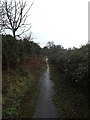 TM2650 : Bridleway to the A1152 Woods Lane by Geographer