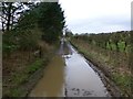 NT9803 : Public byway to Low Farnham by Russel Wills