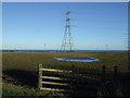 NZ4534 : Farmland and pylon by JThomas
