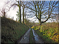 Lane to Plas Lawrence, Monington