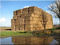 TM3984 : Big stack of straw bales by Brook Farm by Evelyn Simak