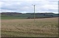 Electricity pole in stubble