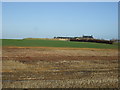 Farmland towards Tofts Farm