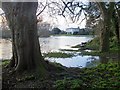 The Thames riverbank near Manor Park, Shepperton, February 2014