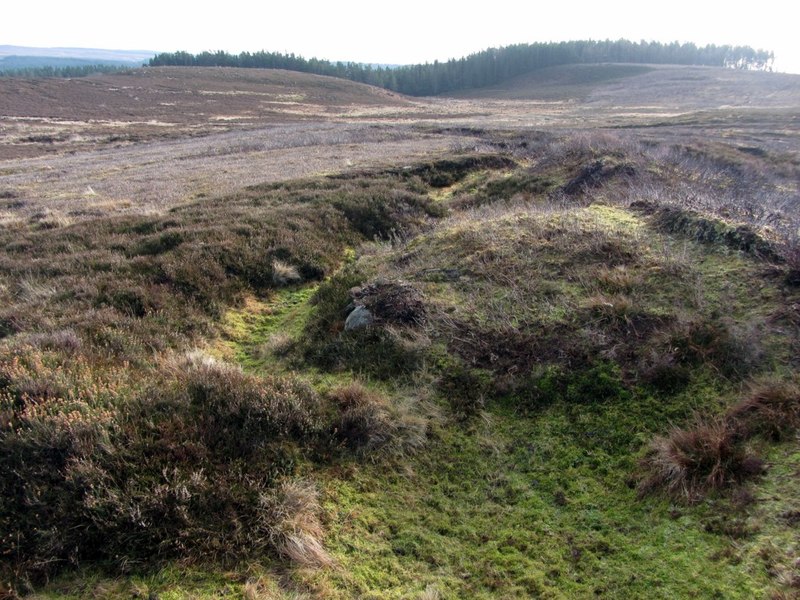 First World War practice trenches above... © Andrew Curtis :: Geograph ...