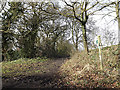 Bridleway to The Street & Upper Birches