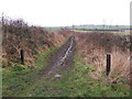 Bridleway to Great Eppleton from Salter