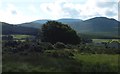 Marginal land above the Shimna Valley