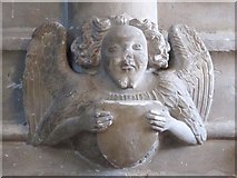 TL8741 : St. Peter's Church, Sudbury - angel with forked beard by Mike Quinn