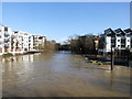 River Medway, Maidstone