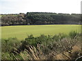 Farmland near the Muckle Burn