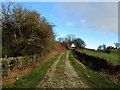 Track ascending from Eldwick Reservoir