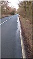 Approaching a bend on Liverton Road