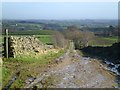 Looking down Wreaks Lane