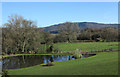 Pool at Sutton-under-Whitestonecliffe