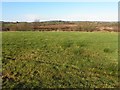 Cloughfin Townland