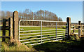J2286 : Field gate near Templepatrick by Albert Bridge