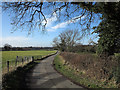 Bridleway towards Sutton-under-Whitestonecliffe