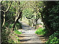 Footpath by the railway at Baird