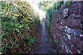 Narrow footpath