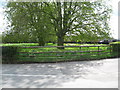 A day in springtime - Hanbury, Staffordshire