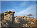 SD5479 : Limestone outcrops, Newbiggin Crags by Karl and Ali