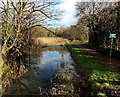 Disused canal east of Pontymason Lane, Rogerstone, Newport