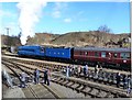 Bittern at Barrow Hill