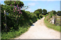 Bridleway near Carharrack