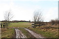 Field next to the old canal