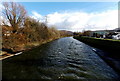ST1086 : River Taff flows away from the A473 bridge in Upper Boat by Jaggery