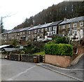 Hafod Tudor Terrace houses, Wattsville