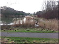 Fishing Lake at Silksworth Park