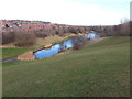 Fishing Lake at Silksworth Park