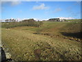 View Across Catton Dean towards Highfield Farm