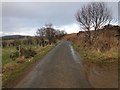 Minor road near Mains of Meadaple