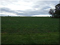 Farmland, Beacon Hill Farm