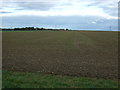 Farmland east of Mareham Lane