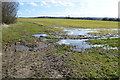 TQ7443 : Waterlogged fields off Plain Road by Julian P Guffogg