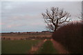 Footpath from Binbrook Top to Binbrook