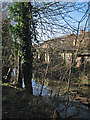 Fowlmere: Round Moat and the backs of houses