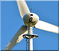 Wind turbine, Islandmagee - February 2014 (2)